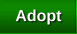Adopt Rabbits, Cats, Rats, and Guinea Pigs